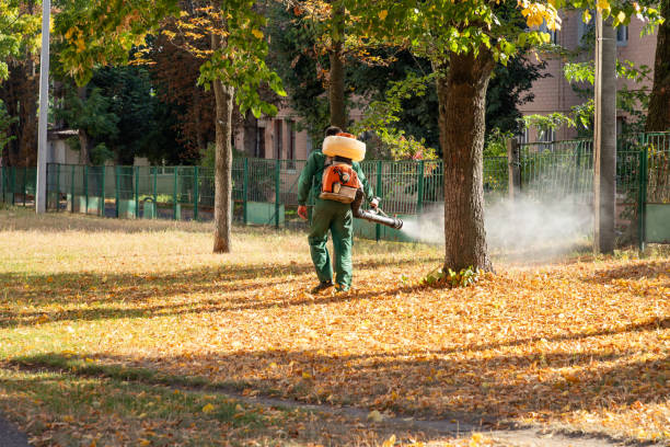 Best Mosquito Control Services  in Greensboro, NC